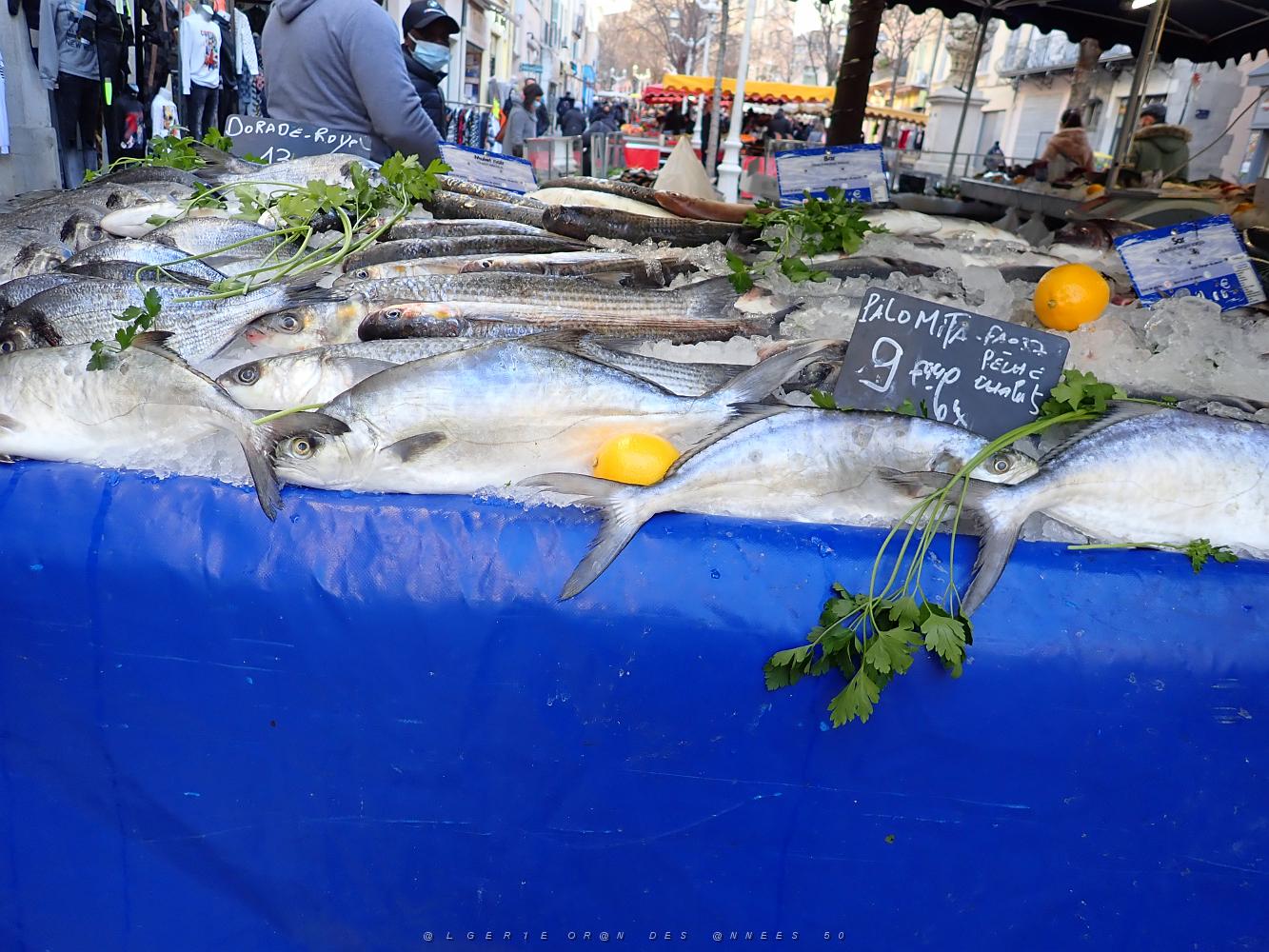 TOULON 21 01 2021  (23).JPG